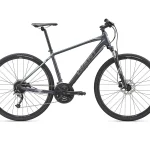 Giant Roam 2 L