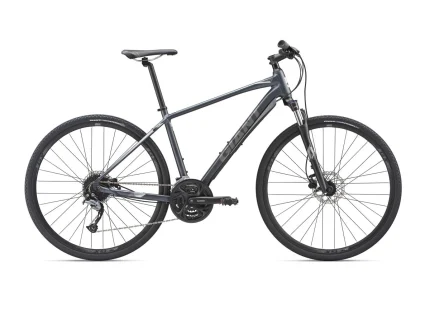 Giant Roam 2 L